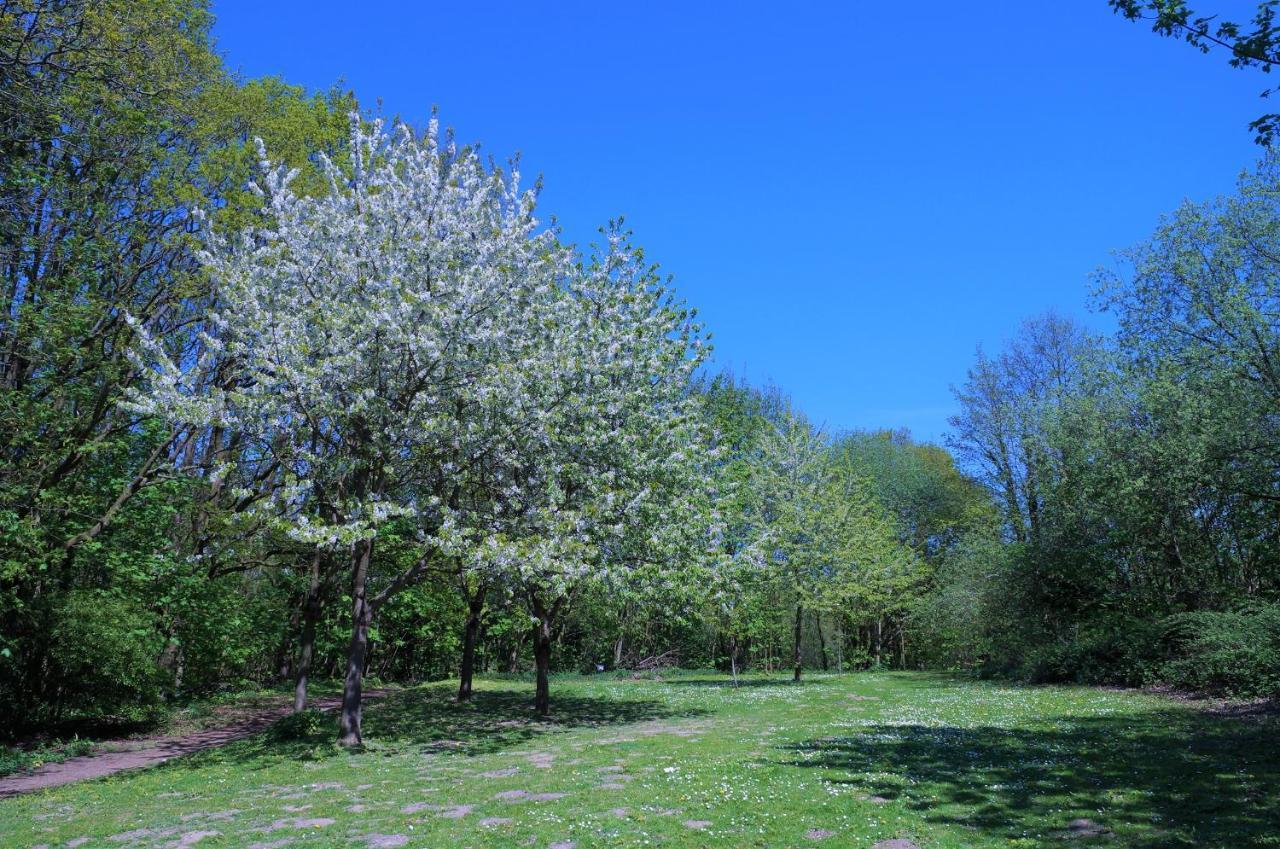 דירות זירקסדורף Panoramic A15-8 - Panoramic מראה חיצוני תמונה